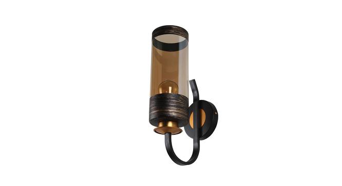 Wallice Black Metal Wall Light (Black & Gold) by Urban Ladder - Front View Design 1 - 607973