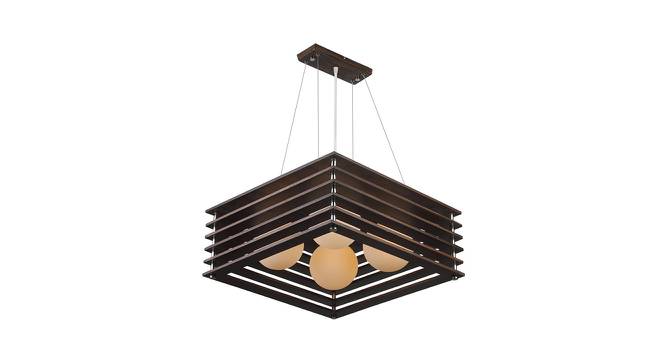 Sienna Brown Metal Hanging Light (Dark Wood) by Urban Ladder - Front View Design 1 - 608240