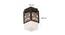 Autumn Brown Metal Ceiling Light (Dark Wood) by Urban Ladder - Design 1 Dimension - 608366