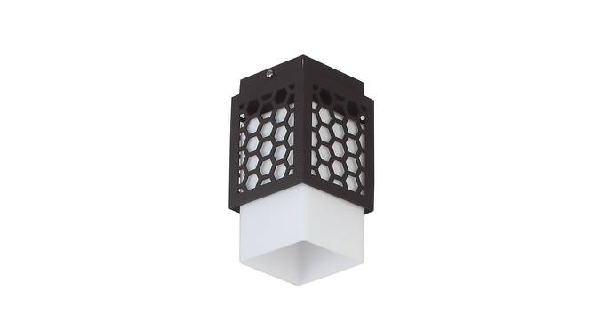 Axle Brown Metal Ceiling Light (Dark Wood) by Urban Ladder - Front View Design 1 - 608498