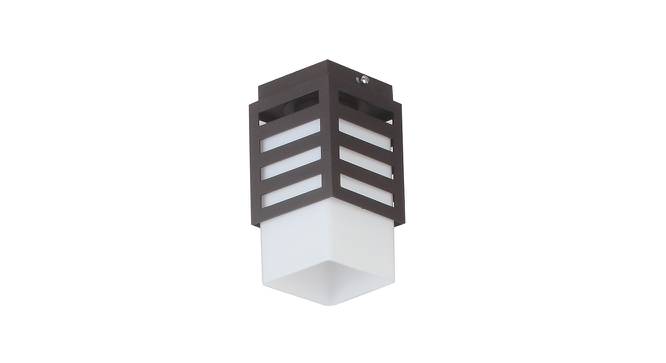 Bacchus Brown Metal Ceiling Light (Dark Wood) by Urban Ladder - Front View Design 1 - 608500