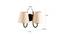 Webb Off White Fabric Wall Light (Off White) by Urban Ladder - Design 1 Dimension - 609641