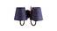 Shawndelle Blue Natural Fiber Wall Light (Blue) by Urban Ladder - Design 1 Side View - 609884