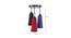 Alessandro Multicolor Fabric Cluster Hanging Light (Multicolor) by Urban Ladder - Design 1 Dimension - 612449