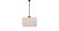 Wells White  Natural Fiber  Hanging Light (White) by Urban Ladder - Design 1 Side View - 612673