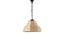 Taylor Beige  Bamboo  Hanging Light (Beige) by Urban Ladder - Front View Design 1 - 612851