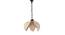 Sincere Beige  Bamboo  Hanging Light (Beige) by Urban Ladder - Front View Design 1 - 612854