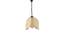 Watson Beige  Bamboo  Hanging Light (Beige) by Urban Ladder - Front View Design 1 - 612855