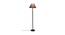 Ray Blue Natural Fiber Shade Floor Lamp with Black  Iron Base (Blue) by Urban Ladder - Front View Design 1 - 612889