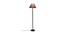 Ray Blue Natural Fiber Shade Floor Lamp with Black  Iron Base (Blue) by Urban Ladder - Front View Design 1 - 612889