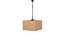 Kenzo Beige  Natural Fiber  Hanging Light (Beige) by Urban Ladder - Design 1 Side View - 612900