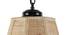 Johan Beige  Bamboo  Hanging Light (Beige) by Urban Ladder - Design 1 Side View - 612906