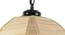 Watson Beige  Bamboo  Hanging Light (Beige) by Urban Ladder - Design 1 Side View - 612909