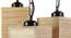 Valentino Beige  Bamboo Cluster Hanging Light (Beige) by Urban Ladder - Design 1 Side View - 612914