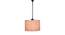 Sonny Multicolor Fabric  Hanging Light (Multicolor) by Urban Ladder - Front View Design 1 - 612965