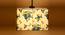 Jalen Multicolor  Fabric  Hanging Light (Multicolor) by Urban Ladder - Front View Design 1 - 612974