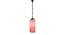 Rodrigo Pink  Natural Fiber  Hanging Light (Pink) by Urban Ladder - Front View Design 1 - 612993