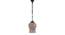 Asa Multicolor Glass  Hanging Light (Multicolor) by Urban Ladder - Front View Design 1 - 613049
