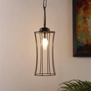 devansh Finnley Black Metal Hanging Light-picture-18