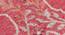 Gulabi Pink Geometric Hand-knotted Wool 6x4 Feet Carpet (Pink, 183 x 122 cm  (72" x 48") Carpet Size) by Urban Ladder - Design 1 Side View - 613616