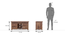 Fidora Solid Wood Free Standing TV Unit (Teak Finish) by Urban Ladder - Image 1 Design 1 - 614039