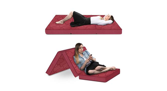 Soft Bounce 3-Fold Premium Orthopedic High Density Foam Mattress - Double Size (4 in Mattress Thickness (in Inches), 78 x 48 in (Standard) Mattress Size, Maroon, Double Mattress Type) by Urban Ladder - Design 1 Full View - 615599