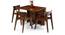 Danton 3-to-6 - Gordon 3 Seater Folding Dining Table Set (Teak Finish) by Urban Ladder