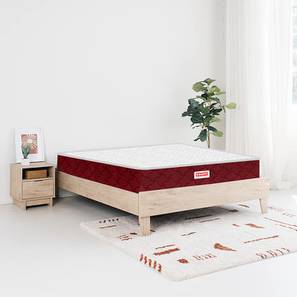 Coirfit Mattresses Design Magic Coir Mattress - Single Size (Grey, Single Mattress Type, 5 in Mattress Thickness (in Inches), 72 x 36 in Mattress Size)