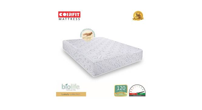Biolife Visco Memory Foam Mattress - Double Size (White, 6 in Mattress Thickness (in Inches), 72 x 48 in Mattress Size, Double Mattress Type) by Urban Ladder - Design 1 Full View - 618202