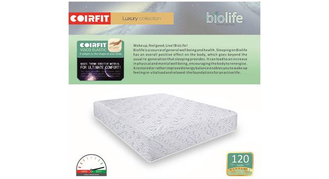 Biolife Visco Memory Foam Mattress - Queen Size (White, Queen Mattress Type, 75 x 60 in Mattress Size, 10 in Mattress Thickness (in Inches)) by Urban Ladder - Front View Design 1 - 619509