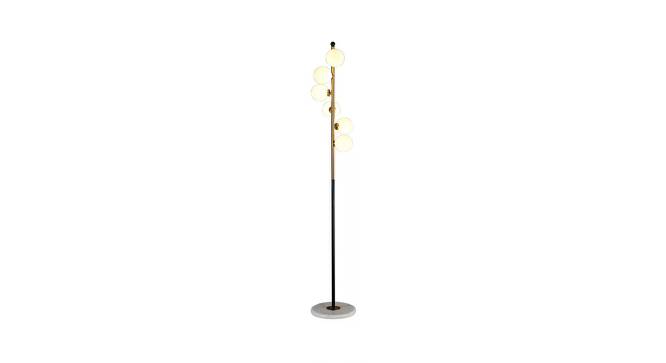 Valkyrie Floor Lamp (Black) by Urban Ladder - Front View Design 1 - 624404