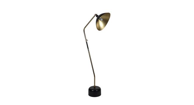 Gloria Black & Gold Iron Shade Floor Lamp with Metal base (Black) by Urban Ladder - Design 1 Side View - 625349