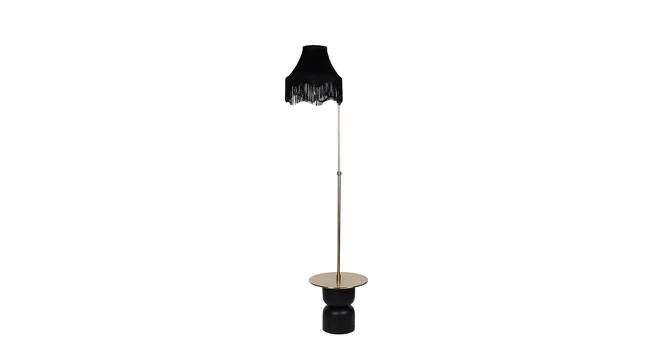Olina Black Iron & Cloth Shade Floor Lamp with Metal base (Brown) by Urban Ladder - Design 1 Side View - 625416