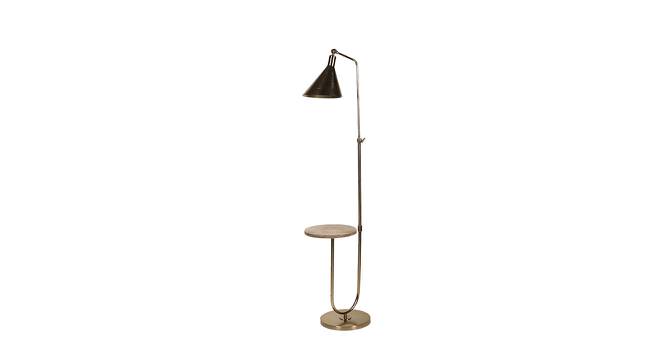 Keala Gold Iron Shade Floor Lamp with Metal base (Brown) by Urban Ladder - Design 1 Side View - 625417
