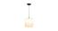 Leaf White Iron  Hanging Light (White) by Urban Ladder - Front View Design 1 - 625465