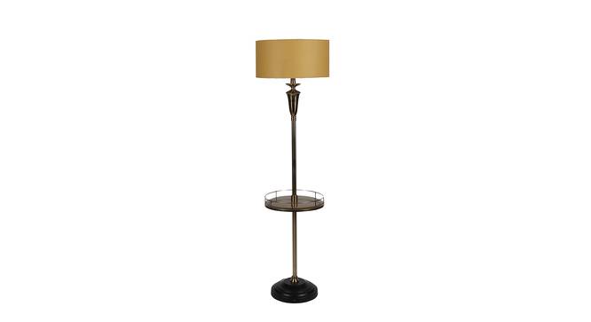Roseanne Beige Iron & Cloth Shade Floor Lamp with Metal base (Brown) by Urban Ladder - Front View Design 1 - 625506