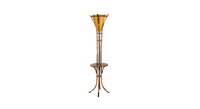 Rupert Beige Iron & Cloth Shade Floor Lamp with Wooden Base (Brown) by Urban Ladder - Front View Design 1 - 625565