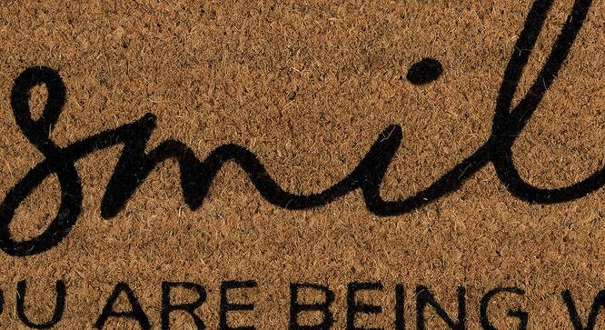 WashingtonBrown  Traditional Plastic 24x14 inches Anti-skid Doormat (Brown, Small Size) by Urban Ladder - Design 1 Side View - 626630
