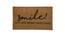 WashingtonBrown  Traditional Plastic 24x14 inches Anti-skid Doormat (Brown, Small Size) by Urban Ladder - Front View Design 1 - 626685