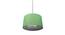 Quincy Green Cotton Hanging Light (Green) by Urban Ladder - Rear View Design 1 - 630392