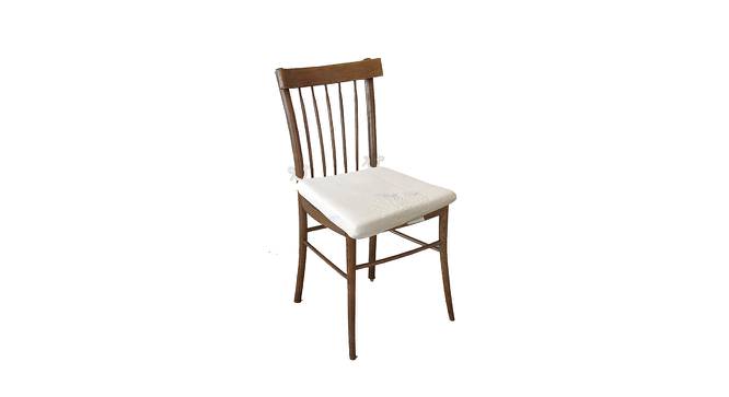 Kaliyah White  Solid   16 x 16 Inches Polyester Chair Pad (White) by Urban Ladder - Front View Design 1 - 630696