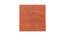 Oaklyn Orange  Solid   16 x 16 Inches Polyester Chair Pad (Orange) by Urban Ladder - Rear View Design 1 - 630736