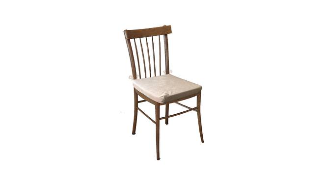 Alma Beige  Solid   16 x 16 Inches Polyester Chair Pad (Beige) by Urban Ladder - Front View Design 1 - 630925