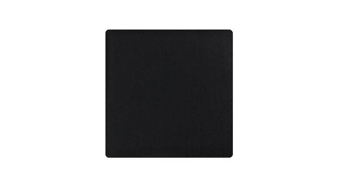 Elliot  Black Solid   16 x 16 Inches Polyester Chair Pads (Black) by Urban Ladder - Front View Design 1 - 630928