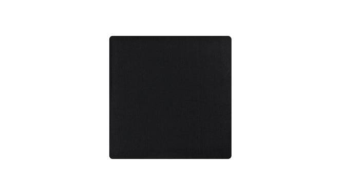 Mae  Black Solid   16 x 16 Inches Polyester Chair Pads (Black) by Urban Ladder - Front View Design 1 - 630930