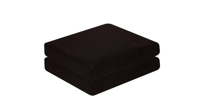 Elliot  Black Solid   16 x 16 Inches Polyester Chair Pads (Black) by Urban Ladder - Design 1 Side View - 630942