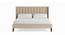 Bean Solid Wood King Non-Storage Normal Bed in Beige colour (King Bed Size, Polished Finish) by Urban Ladder - Front View Design 1 - 632481