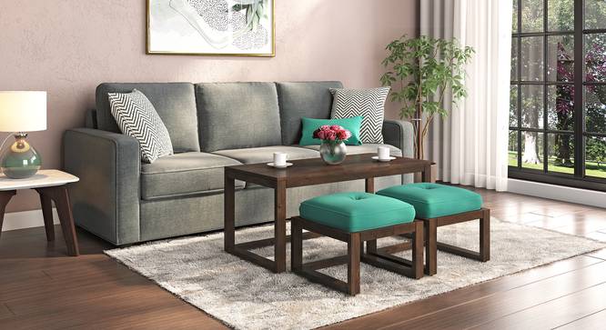 Avril Solid Wood Bench (Lagoon Green, Mango Walnut Finish) by Urban Ladder - Front View Design 1 - 633069