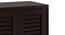 Georgio Solid Wood 24 Pair Solid Wood Shoe Rack (Mahogany Finish) by Urban Ladder - Ground View Design 1 - 633165