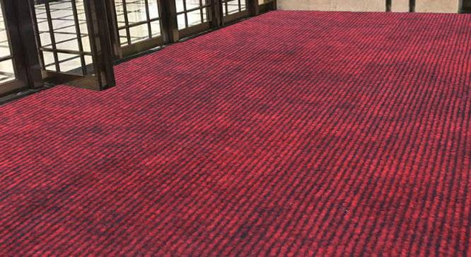 Alora Maroon Solid Fabric 6x4 Ft Carpet (Maroon) by Urban Ladder - Design 1 Side View - 638318